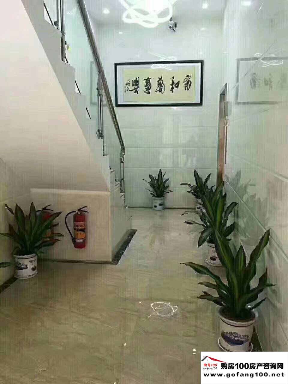 效果圖